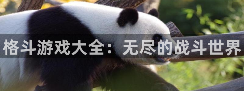 游艇会yth0001